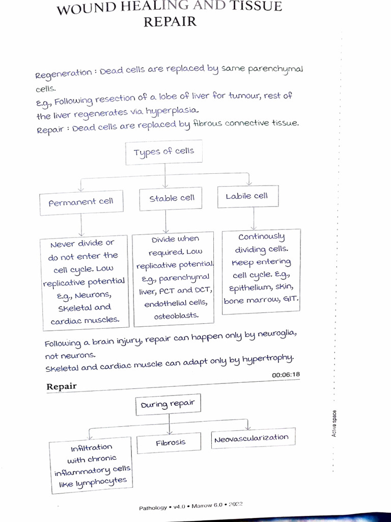 Wound Healing Pdf Wound Healing Scar