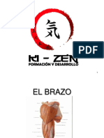 Manual Anatomia Kizen 2