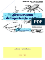 ARTROPODOS[1]