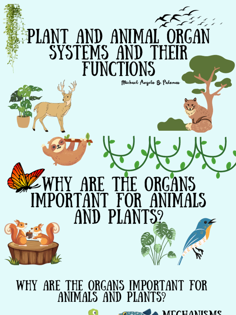Plant and Animal Organ Systems and Their Functions PDF Seed