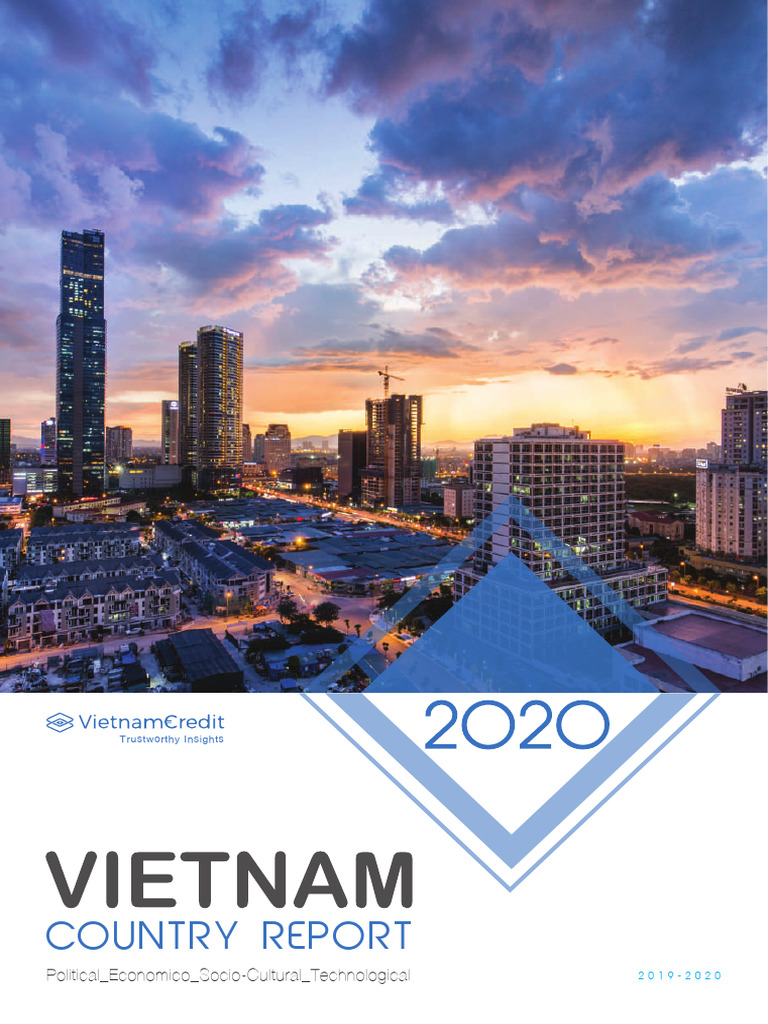 VIETNAM COUNTRY REPORT visual data 3