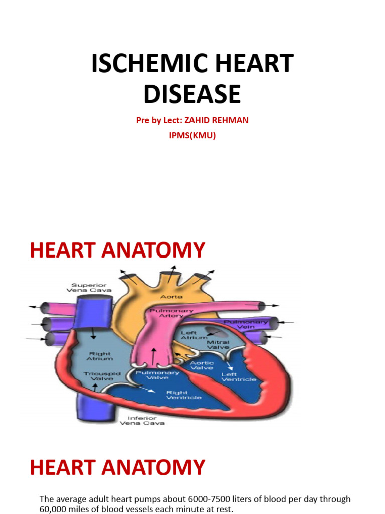 Ischemic Heart Disease Overview | PDF | Atherosclerosis | Atheroma