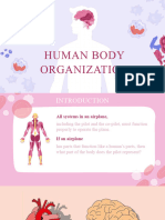 Human Body Organization 2.1