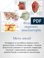 Фізіологія окремих аналізаторів