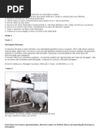 Redação EM-dissertação -PRODUÇÃO TEXTUAL