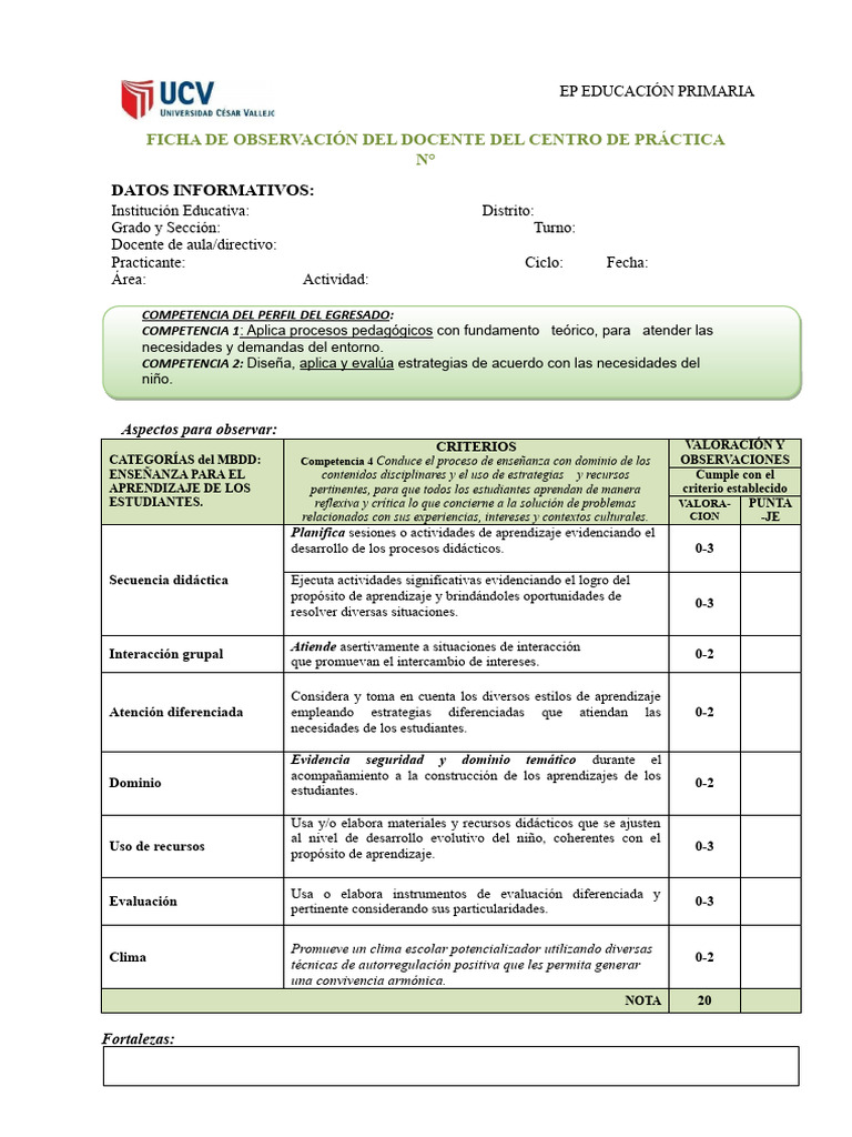 3 - Ficha de Observación Del Docente 2024 | Descargar gratis PDF ...