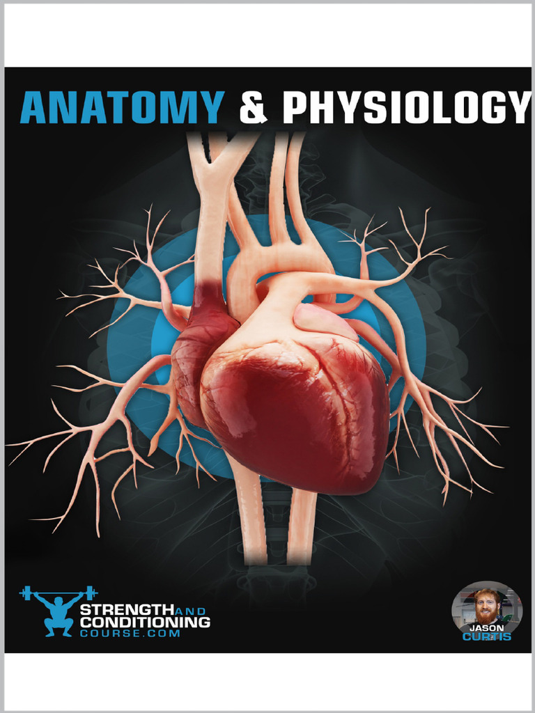 THE COMPLETE GUIDE TO ANATOMY AND PHYSIOLOGY DIAGRAMS FREE PDF visual data 3
