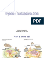 2011-2012. 06 Organella