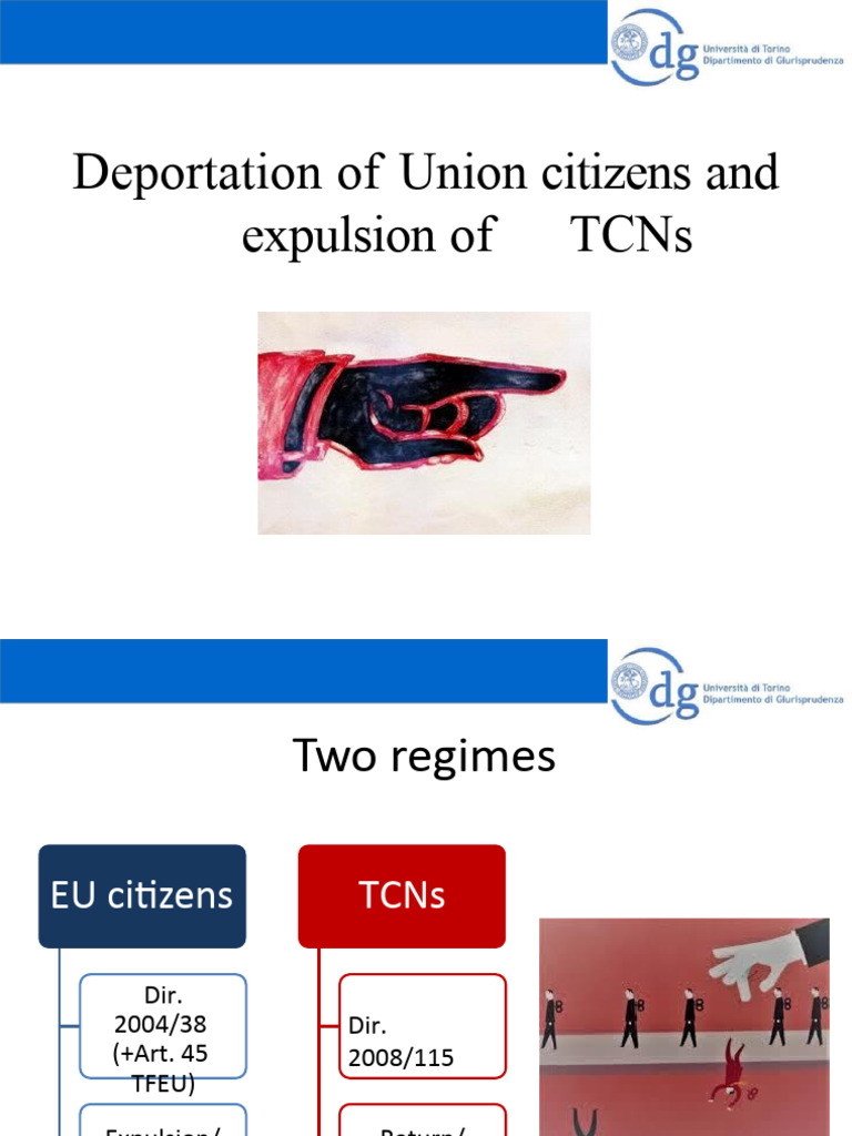 Expulsion and Return Presentation | PDF | Detention (Imprisonment) | Crimes
