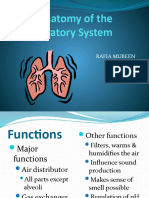 Anatomy of The Respiratory System