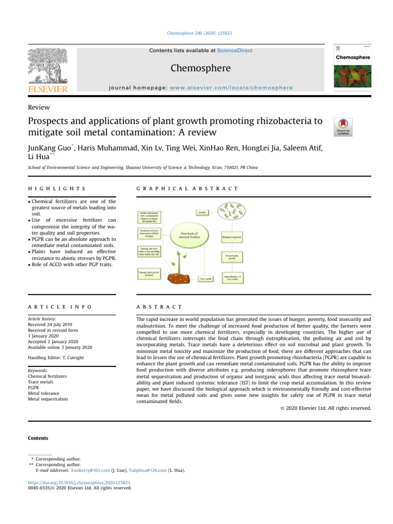 Prospects and Applications of Plant Growth Promoting Rhizobacteria To ...