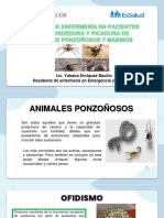 Animales Ponzoñosos Caso Yahaira Enriquez