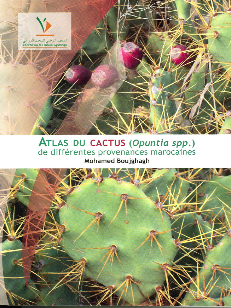 Atlas Du Cactus | PDF