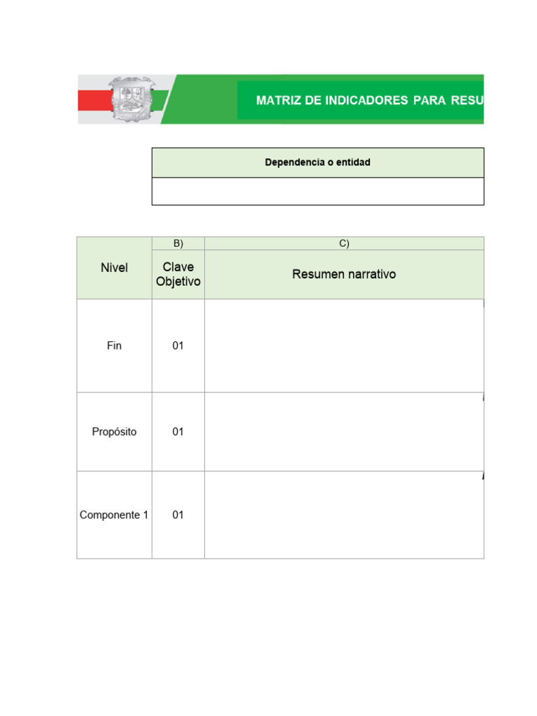Instrucciones para Matriz de Indicadores | PDF | Medición