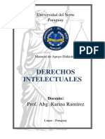 Material Derechos Intelectuales Prof. Karina Ramírez