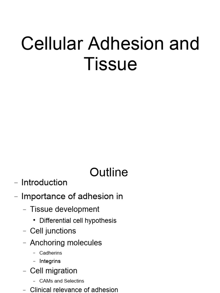 Cadherins and Integrins in Cell Adhesion | PDF | Cell Adhesion | Integrin