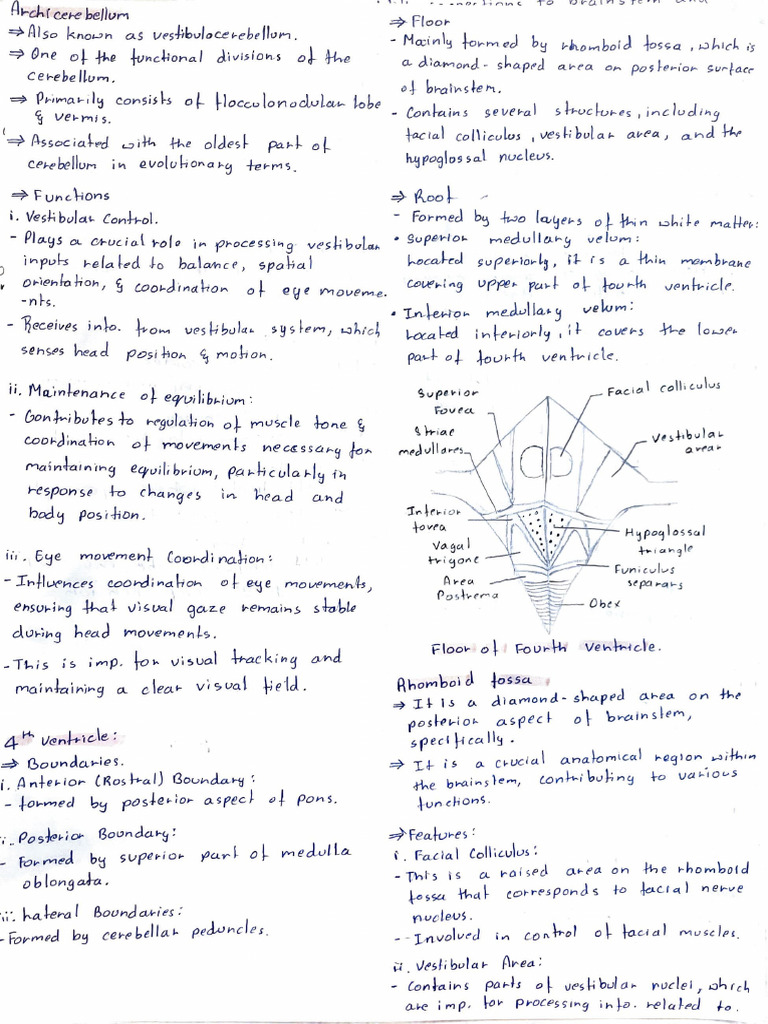BIOCHEMISTRY FREE FOR ALL PDF FREE DOWNLOAD visual data 2