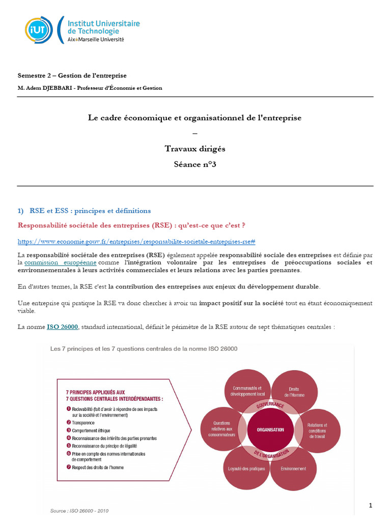 RSE et ESS : Concepts et Applications | PDF | Responsabilité sociétale ...