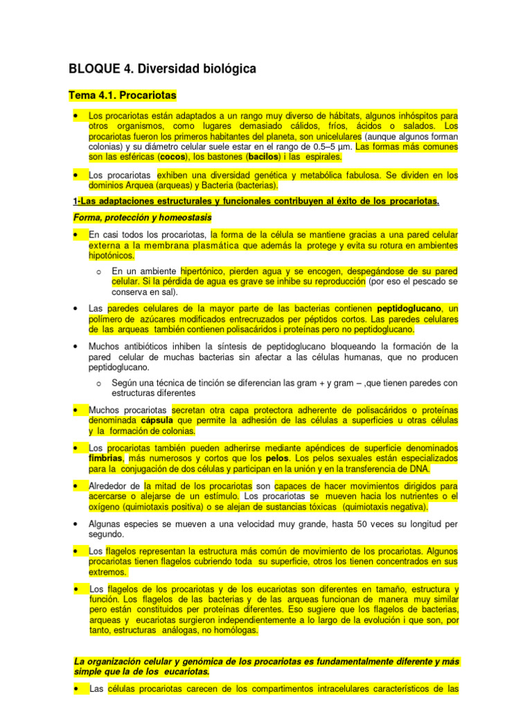 Diversidad y Adaptaciones de Procariotas | PDF | Las bacterias | Plantas