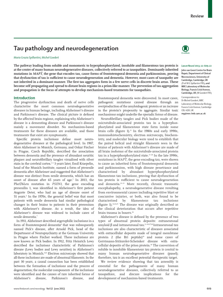 Tau Pathology in Neurodegenerative Diseases | PDF | Amyloid Beta ...