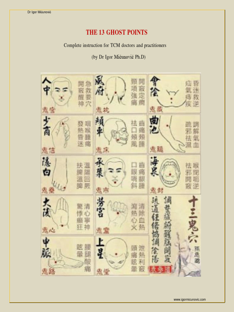The 13 Ghost Points in TCM | PDF | Acupuncture | Traditional Chinese ...