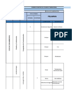 Formato Matriz de Peligros Transversal Sst