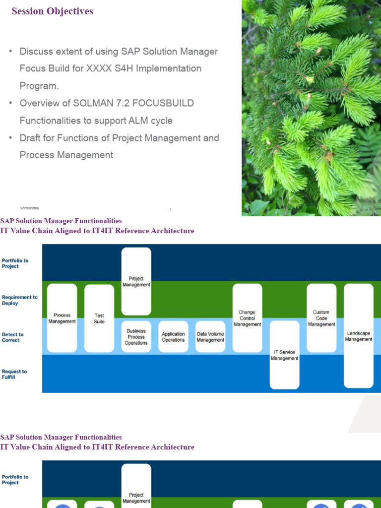 SAP Solution Manager 7.2 Focus Build Overview | PDF | Business Process ...