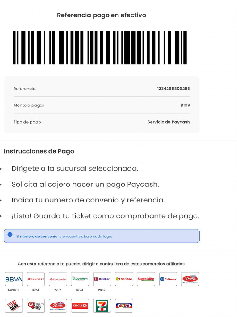 Instrucciones de Pago | PDF
