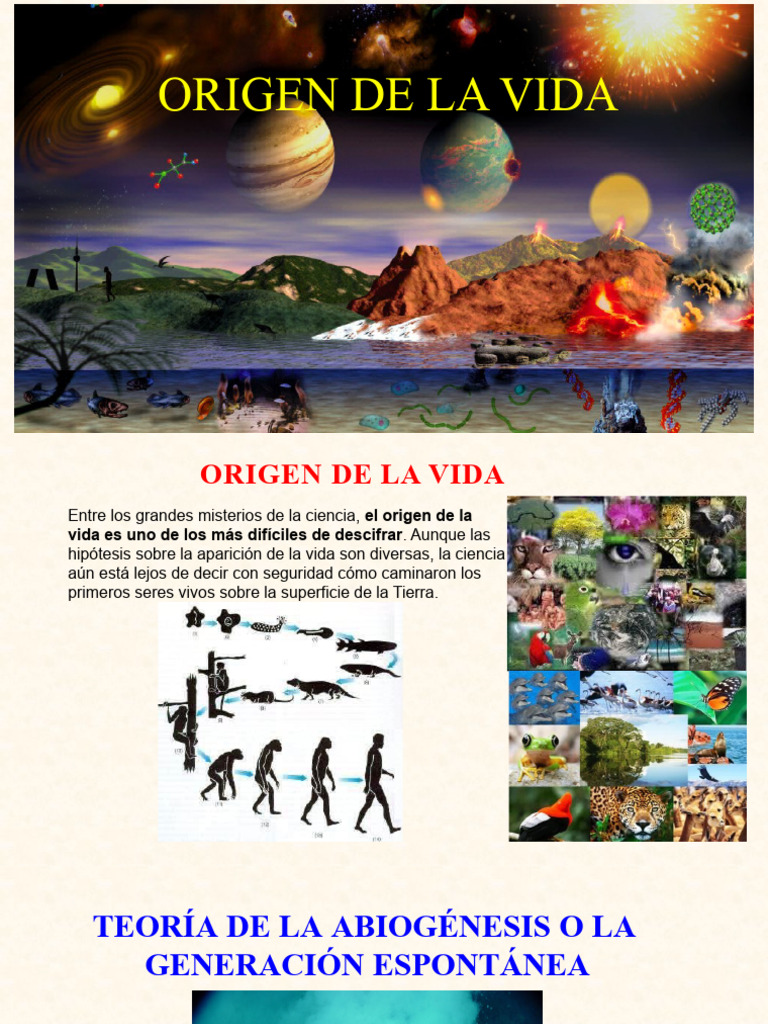 Teorías sobre el Origen de la Vida | PDF | Evolución | Seleccion natural