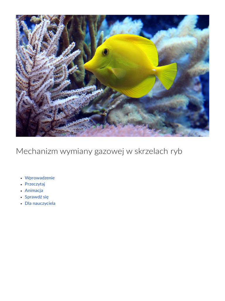 Narząd Wymiany Gazowej U Ryb Mechanizm Wymiany Gazowej W Skrzelach Ryb | PDF