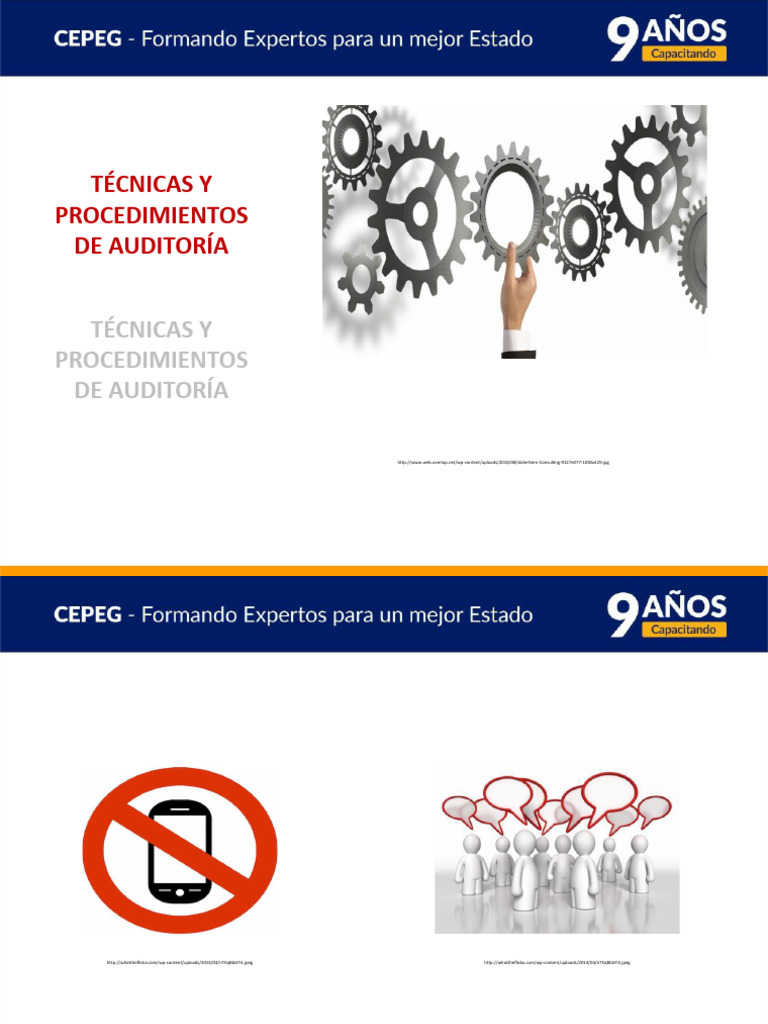 Tecnicas Y Procedimientos De Auditoria Pdf Auditoría Contralor