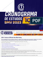 Cronograma de Estudos SMV - 100 Dias