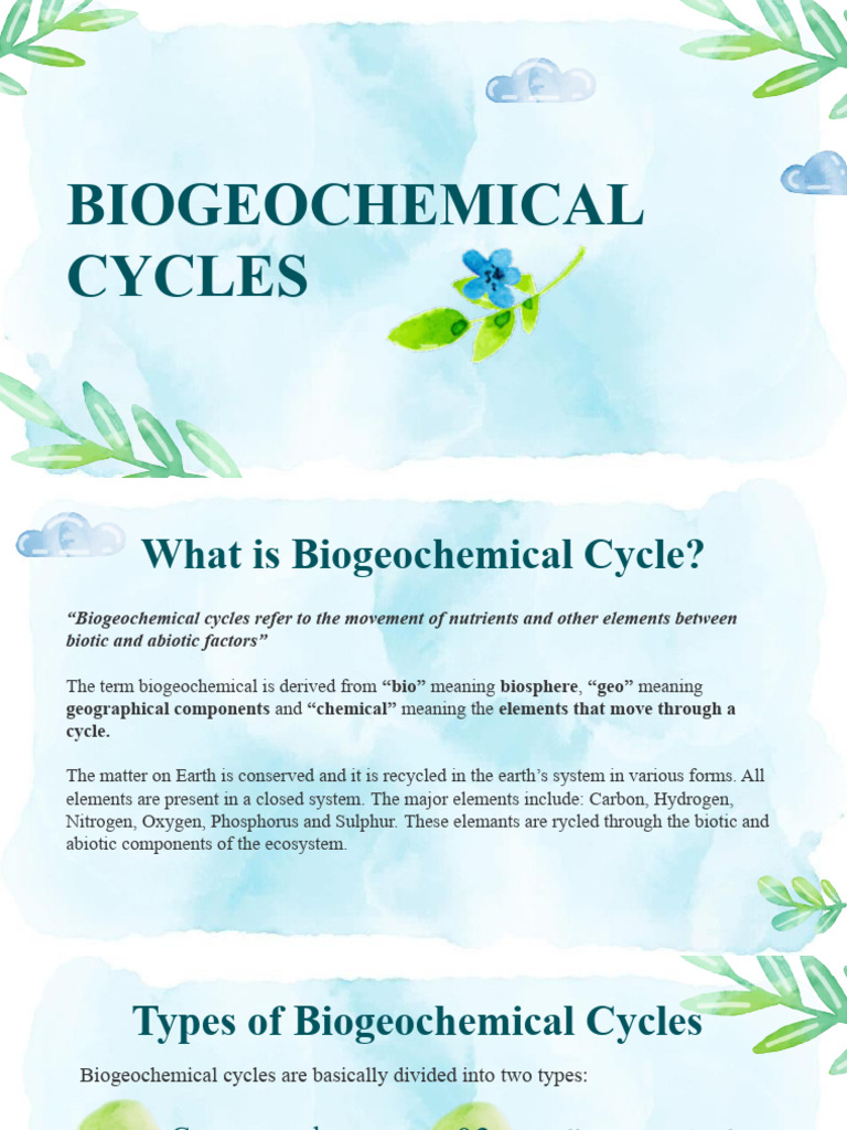 Biogeochemical Cycles Pdf Carbon Cycle Ecosystem