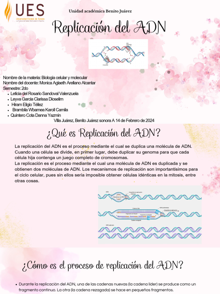 Replicación del ADN: Proceso y Enzimas | PDF | Replicación De Adn | Adn