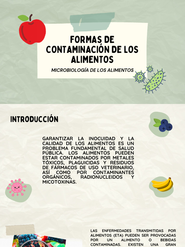 Tipos de Contaminación Alimentaria | PDF | Alimentos | Contaminación