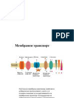 Нов Презентация На Microsoft PowerPoint