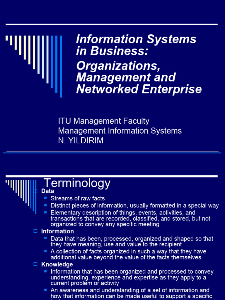 mis-week-4-is-pdf-data-information