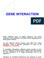 Gene Interaction