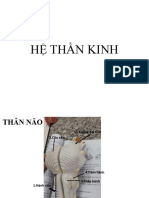 Thần kinh