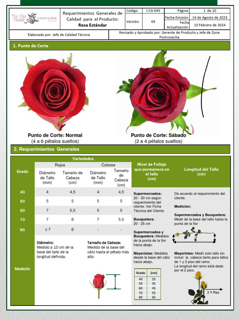 Rosa Estandar | PDF | Flores