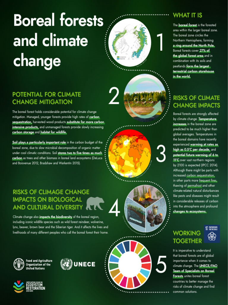 Boreal Forests and Climate Change - Infographic - Updated03 | PDF ...