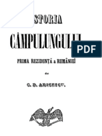 C.D.aricescu-Istoria Campulungului II