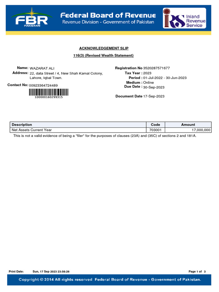 Wealth Statement Summary | PDF | Payments | Taxation