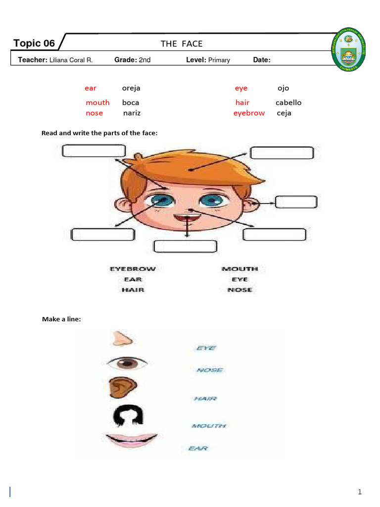 Parts of the Face Activity for Kids | PDF | Language Arts & Discipline