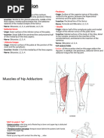 Manual Muscle Testing for Knee Joint | PDF | Anatomical Terms Of Motion ...