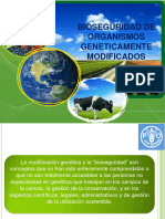 Bioseguridad de Organismos Geneticamente Modificados Compress