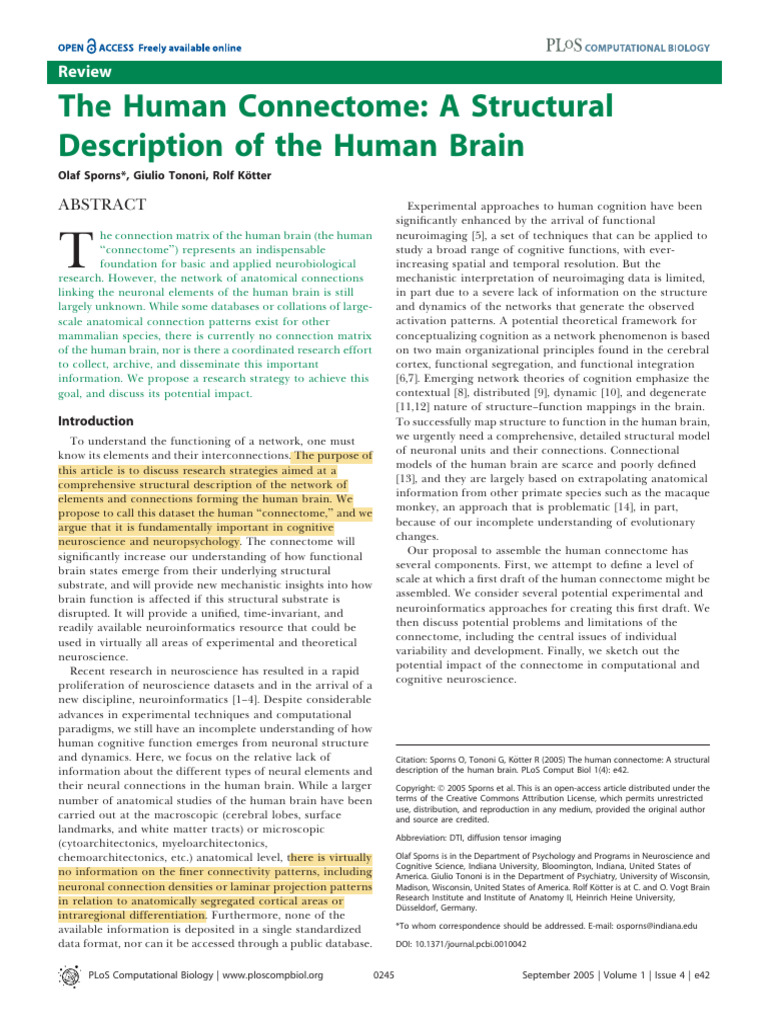Sporns 2005 The Human Connectome | PDF | Brain | Cerebral Cortex