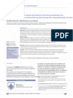 29 (1) .PDF Tradução