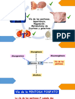 VIA DE LAS PENTOSAS-MET. FRUCTOSA Y GALACTOSA (1)