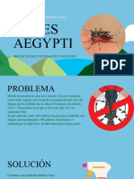 Aedes aegypti _20240502_061959_0000